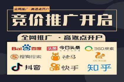 百度SEO推广公司案例：如何快速提升网站排名